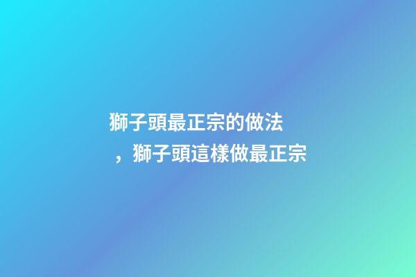 獅子頭最正宗的做法，獅子頭這樣做最正宗-第1張-觀點(diǎn)-玄機(jī)派